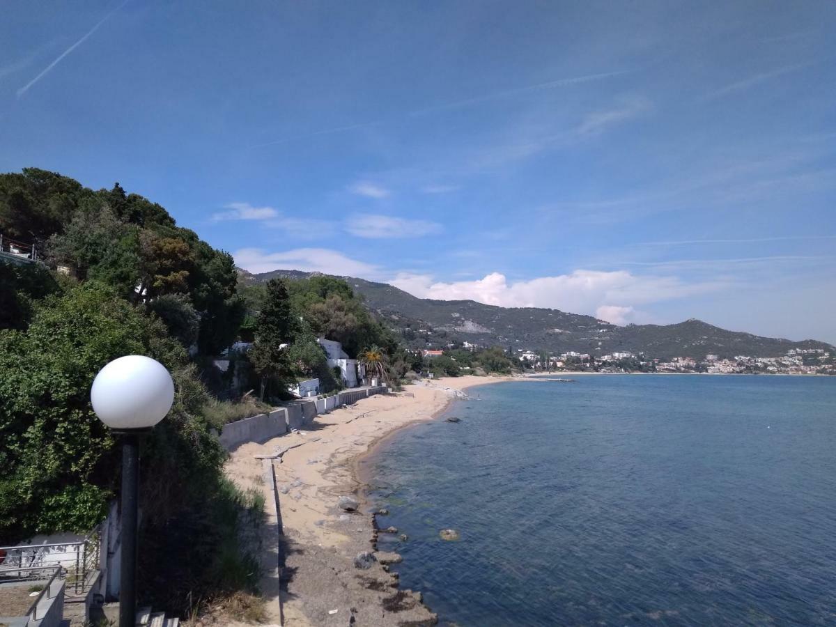 Evaliana Seaside Apartment Palaiontsiflikion Luaran gambar